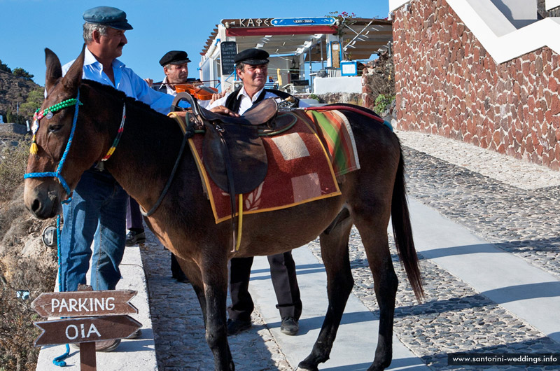 Santorini Weddings / Agios Markos