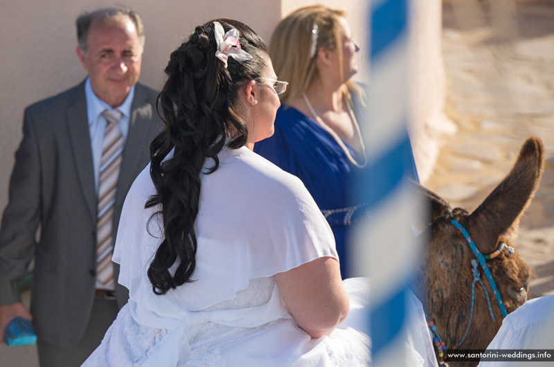 Santorini Weddings / Anastasi