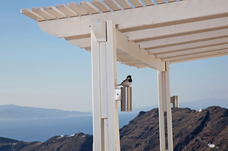 santorini weddings