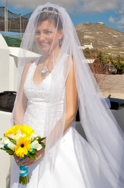 veils and headpieces