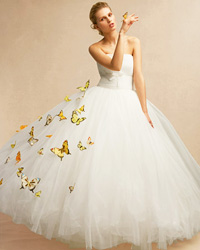 wedding dresses