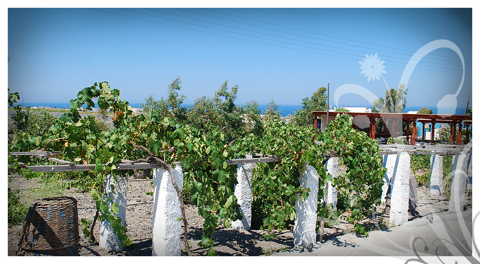 Slideshow from weddings in Santorini